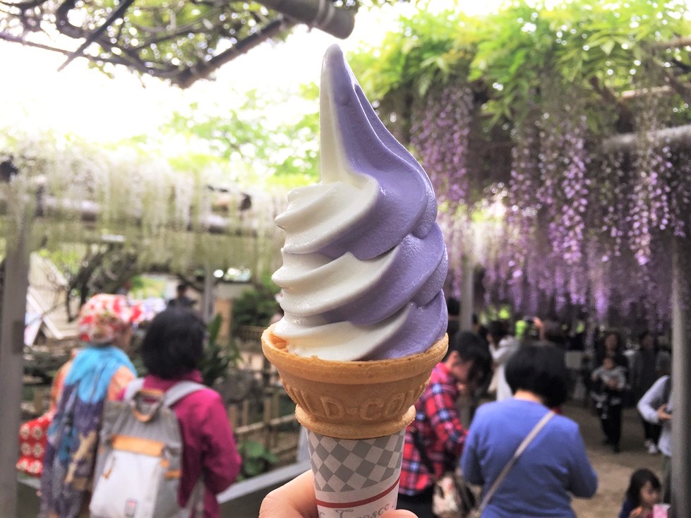 紫藤花 冰淇淋
