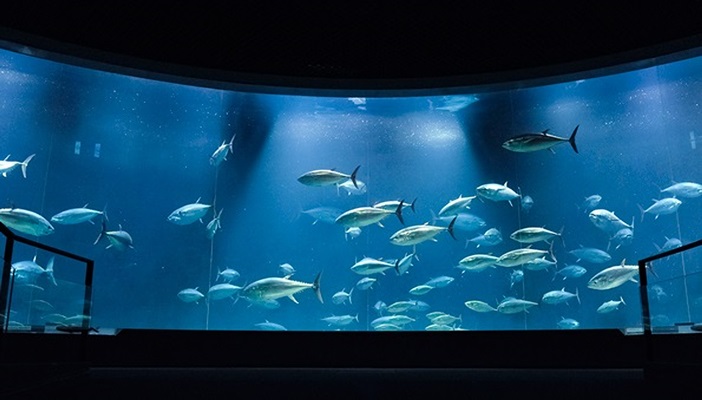 日本水族館