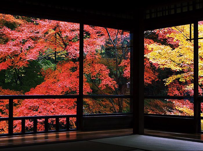 京都 楓葉 琉璃光院